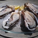 フィッシュ＆オイスターバー キャナルシティ博多店 - 生牡蠣