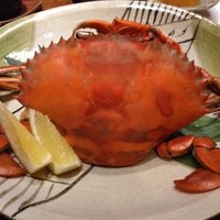 魚料理専門 魚魚一 - どうまん蟹雌600g