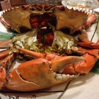 魚料理専門 魚魚一 - どうまん蟹雌600g