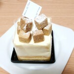 ル・クレール - 料理写真:レアチーズケーキ……(いちごのショートケーキとプリンは撮る前に食べられちゃった…。)