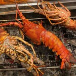 料理の宿 銀鱗 - 