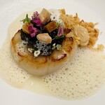 レミニセンス - 帆立