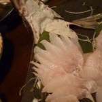 ハッカク　2014.1.11