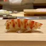 鮨 めい乃 - くるまえび
      こんな仕立ての車海老は初めて、こんなに美味しい車海老も初めて！
      レアにボイルして観音開きに、シャリを包み込む握りが激うま♪
      めい大将のやりたい事がそのまま、美味しさとして伝わってきます。