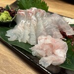 野良のまたたび - 