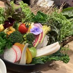 野良のまたたび - 