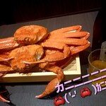 かに・海鮮居酒屋 かに新 - 