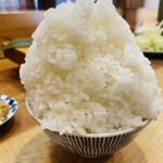 とんかつ紅の豚 - ごはん大盛