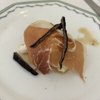 Pigeon - 