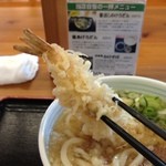 たぬき茶屋 - トッピングのエビ天