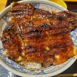 炭火焼 鰻のうな輝 - 