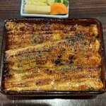 うなぎ 魚政 - 