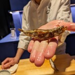 鮨 おにかい×2 - 