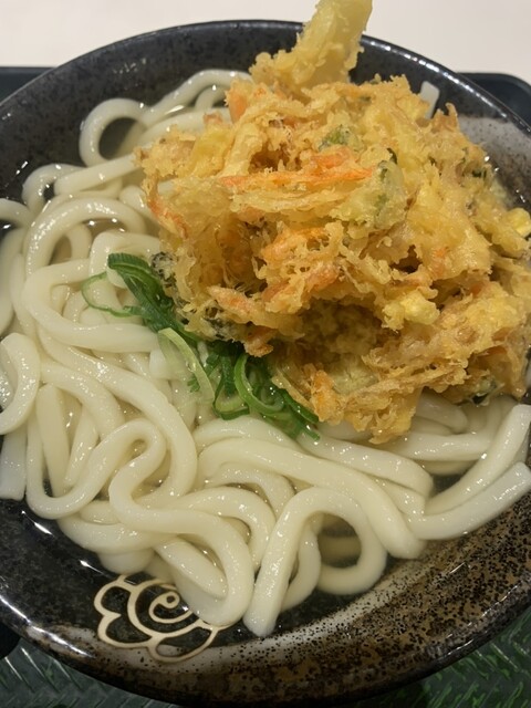 Hanamaru Udon Apita Chiyodabashi Ten