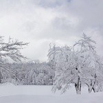 道の駅　いりひろせ - お店様の周りの景色②です(2014/1/15UP)