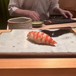 鮨 つぼみ - 車海老