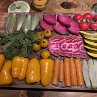 やさいの王様 銀座店 - 標本風サラダ