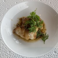 International cuisine subzero - 