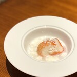 馳走西健一 - ・桃香とヨーグルトのシャーベット