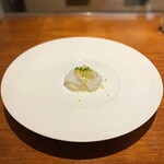 Chisou Nishikenichi - ・アオリイカ、カリフラワームース、白葱ソース