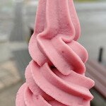 淡路カントリーガーデン - 新しいいちごアイス、うまい