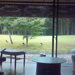茶寮 宗園 - 部屋からの眺め／立派な中庭