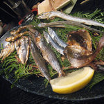 山登 - 炙り魚
