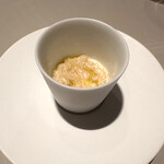 SEZANNE - クラゲ　ニース風