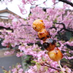 大杉屋製菓 - 料理写真:みたらしだんご
