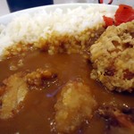 海麦酒 - カレーと唐揚げ接写。