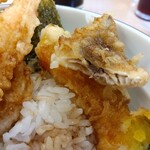 Tendon Tempura Hompo Santen - 