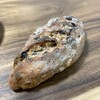 幸せのパン - ノアカレンズ