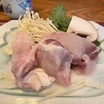 Suppon Sushi Hamo Fugu Akashi Kurabu - てっちり小鍋