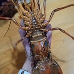 源ちゃん - 