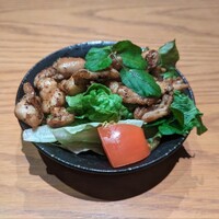 鳥ばか一代 - サラダ