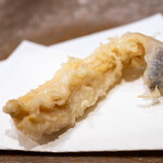 うを徳 - 2024.2 愛知産白ミル貝