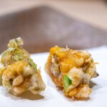 うを徳 - 2024.2 かき揚げ（ニゴロブナの卵、うすい豆、蕗の薹）