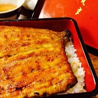 丸文 - 鰻重 並