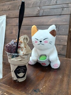 森一芳園 - 小豆入りほうじ茶ソフトクリームとねこちゃんのツーショット。他にも、店内にねこちゃんゴロゴロですにゃ～。