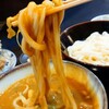 手打 やすえ - 料理写真:うどんを黄色になるように魔法をかけました。