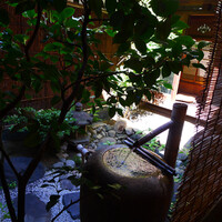 雪梅花 菜根譚 - 