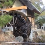 ざいごうどん 本家 わら家 - 