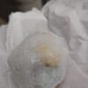 Yamashina Narumi Mochi - 