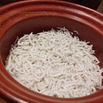 傳 - [2024年2月　訪問]しらすごはん