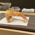 Umeda Sushi Yokota - 立ってるぅぅぅ！