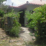 食堂ぬーじボンボンZ - 赤瓦の一軒家