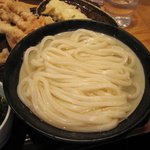 うどん 丸香 - 釜揚げうどん