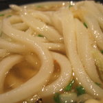 うどん 丸香 - かけのアップ