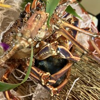 魚庵 千畳敷 - 