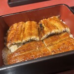 Unagi Jin - 